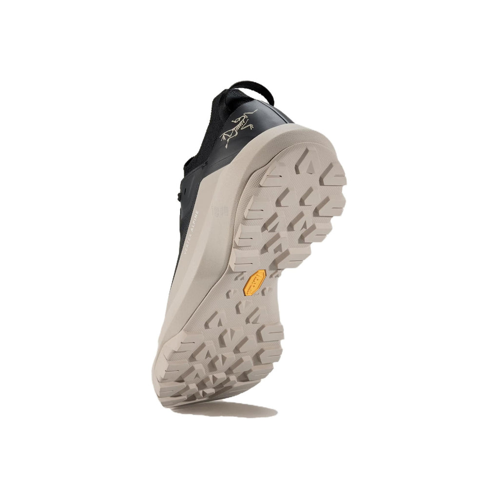 Arc'teryx Vertex Alpine Men's Waterproof Approach Shoes – Black/Taupe