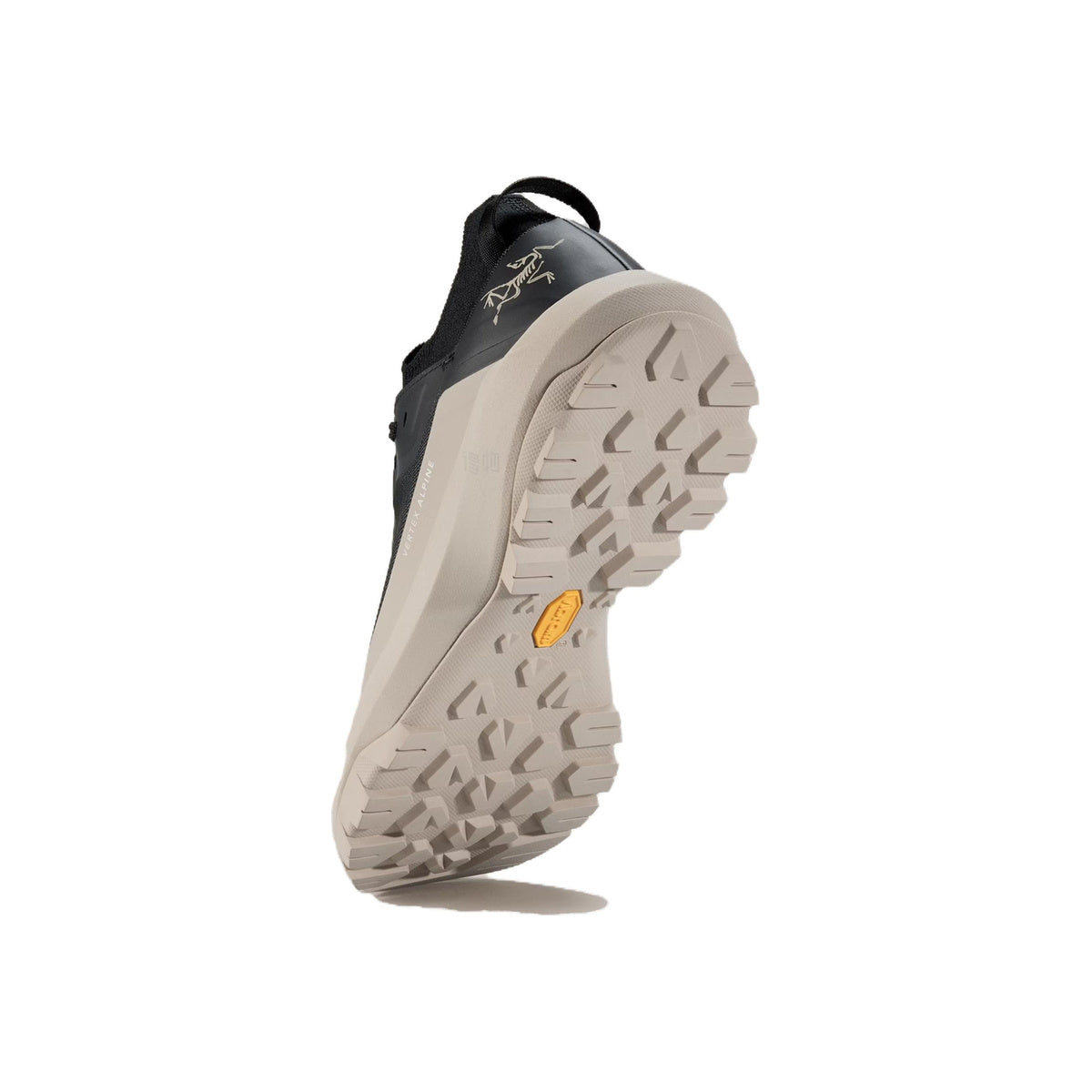 Arc'teryx Vertex Alpine Men's Waterproof Approach Shoes – Black/Taupe