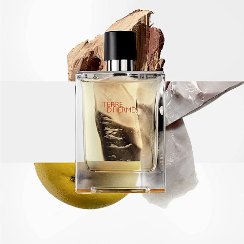 Hermès Terre d'Hermès Eau de Toilette 100ml